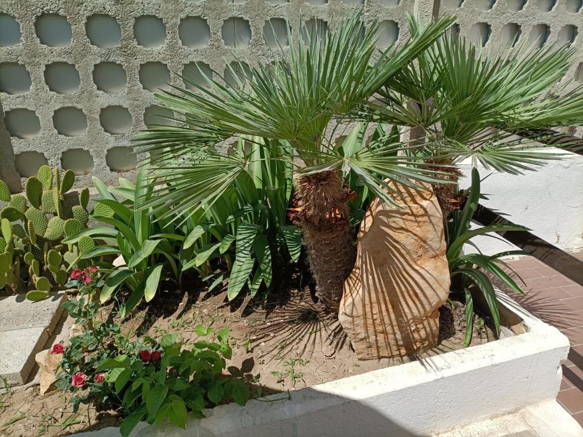 Mony'S Island B&B Alghero Dış mekan fotoğraf